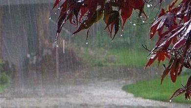 بارش باران در بیشتر نقاط کشور