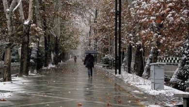 بارش برف و باران در نیمی از کشور از امروز آغاز می‌شود