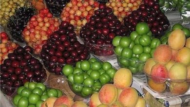 کاهش قیمت میوه در سال جاری