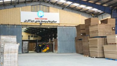 دیبا کارتن شهرک صنعتی پرند