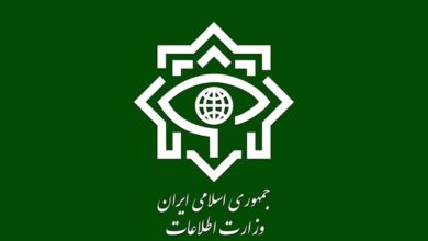 دستگیری ۱۳ عضو تیم‌های جاسوسی_ تروریستی وابسته به موساد