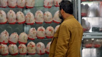 قیمت جدید مرغ کیلویی 73 هزار تومان اعلام شد