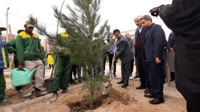 آغاز کاشت ۳۰ هزار اصله نهال توسط شرکت عمران به مناسبت روز درختکاری با مشارکت شهروندان پرند