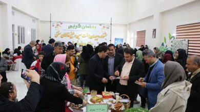 نخستین جشنواره هفت سین و غذاهای سنتی در نصیرشهر برگزار شد + تصاویر