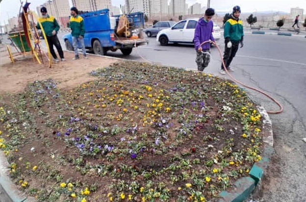 کاشت بیش از ۵۰ هزار گل فصلی در سطح شهر / اجرای «طرح پاکسازی شهر» ویژه نوروز از سوی شرکت عمران پرند