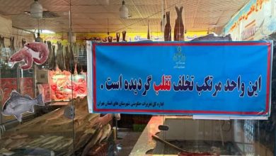 بازرسی بیش از 450 واحد صنفی در شهرستان رباط کریم همراه با تشکیل پرونده و پلمب