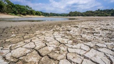 مدیریت منابع آبی